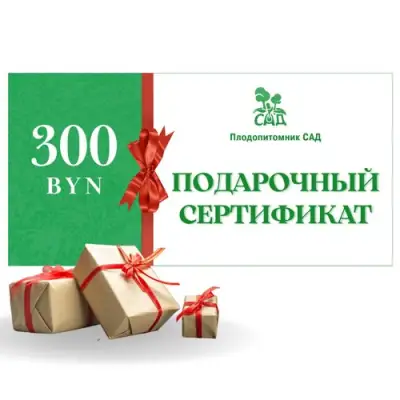 Подарочный сертификат на 300 BYN в Махачкале